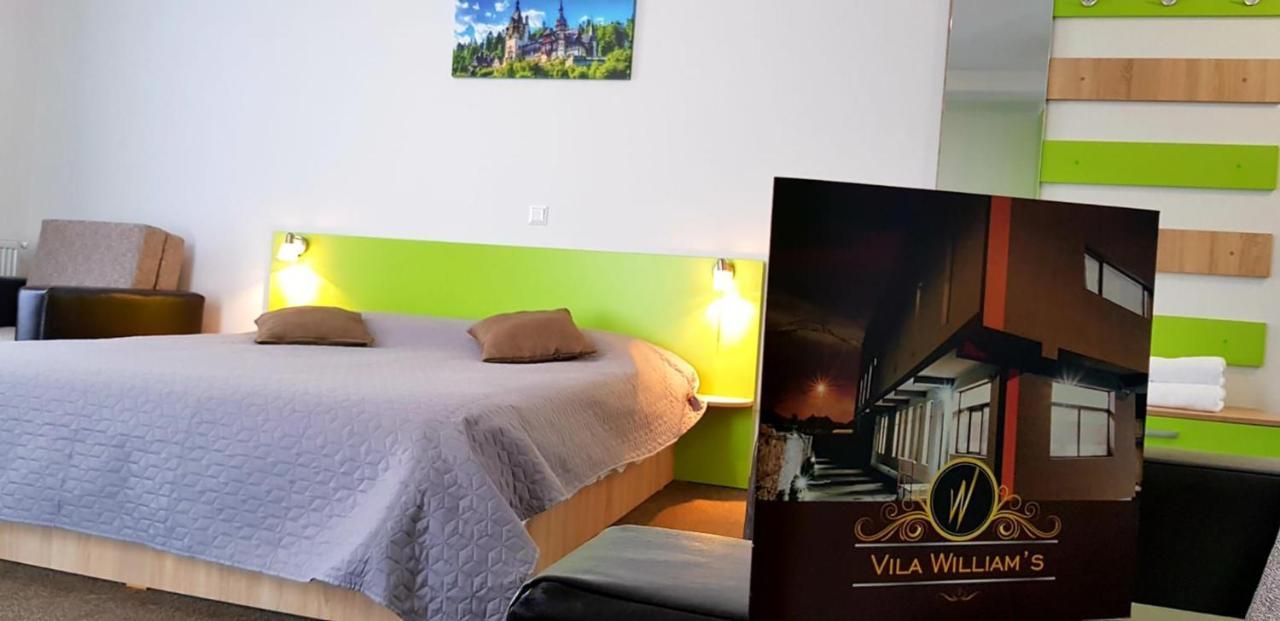Vila William'S Braşov Buitenkant foto