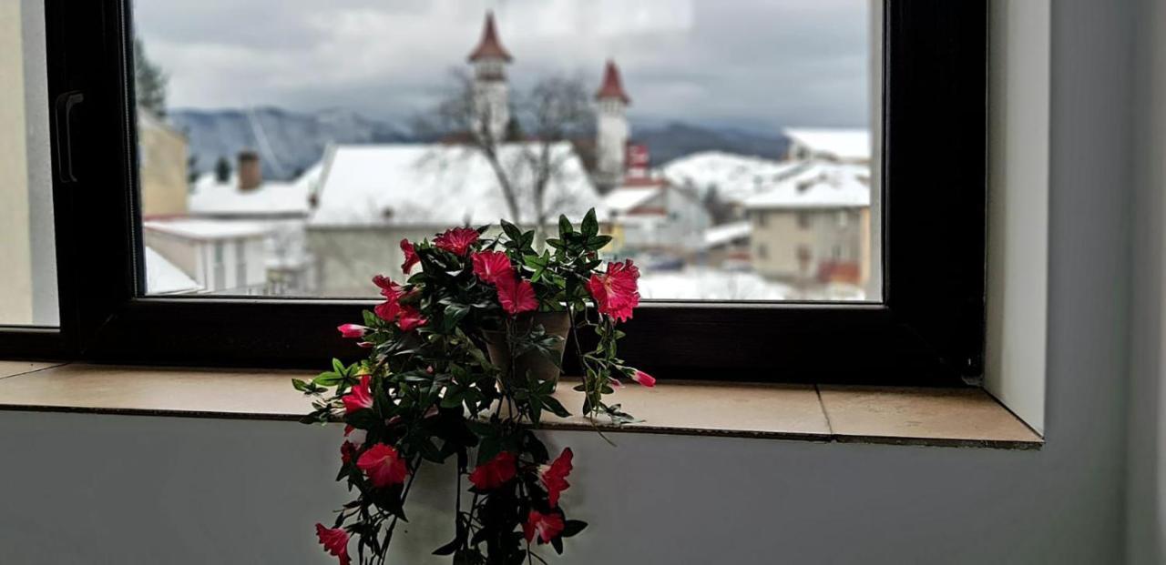 Vila William'S Braşov Buitenkant foto